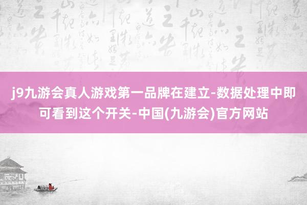 j9九游会真人游戏第一品牌在建立-数据处理中即可看到这个开关-中国(九游会)官方网站