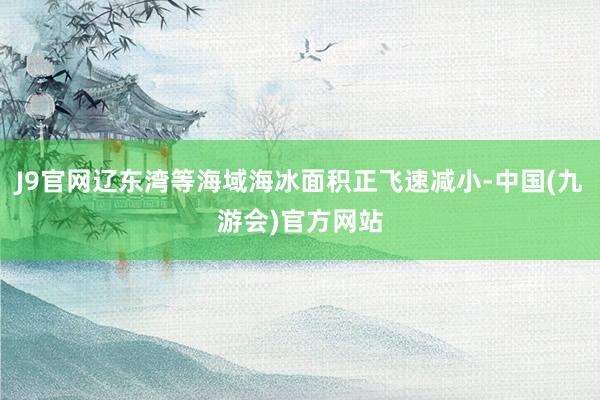 J9官网辽东湾等海域海冰面积正飞速减小-中国(九游会)官方网站