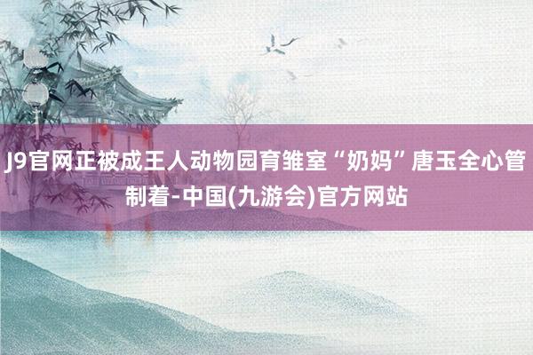 J9官网正被成王人动物园育雏室“奶妈”唐玉全心管制着-中国(九游会)官方网站
