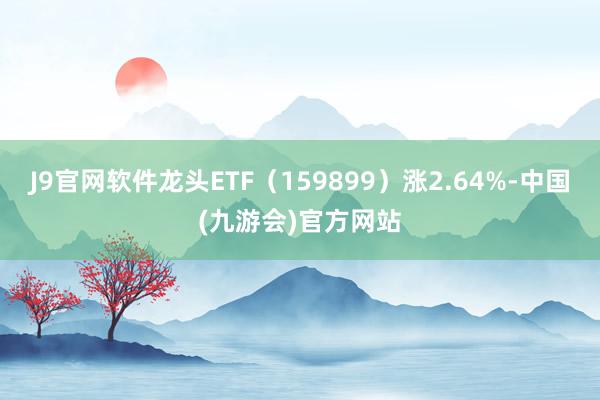 J9官网软件龙头ETF（159899）涨2.64%-中国(九游会)官方网站